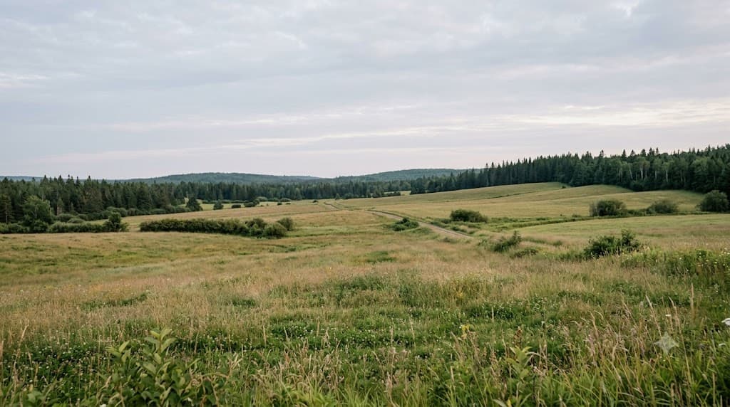 Site visual: booking gallery 05 gentle fields