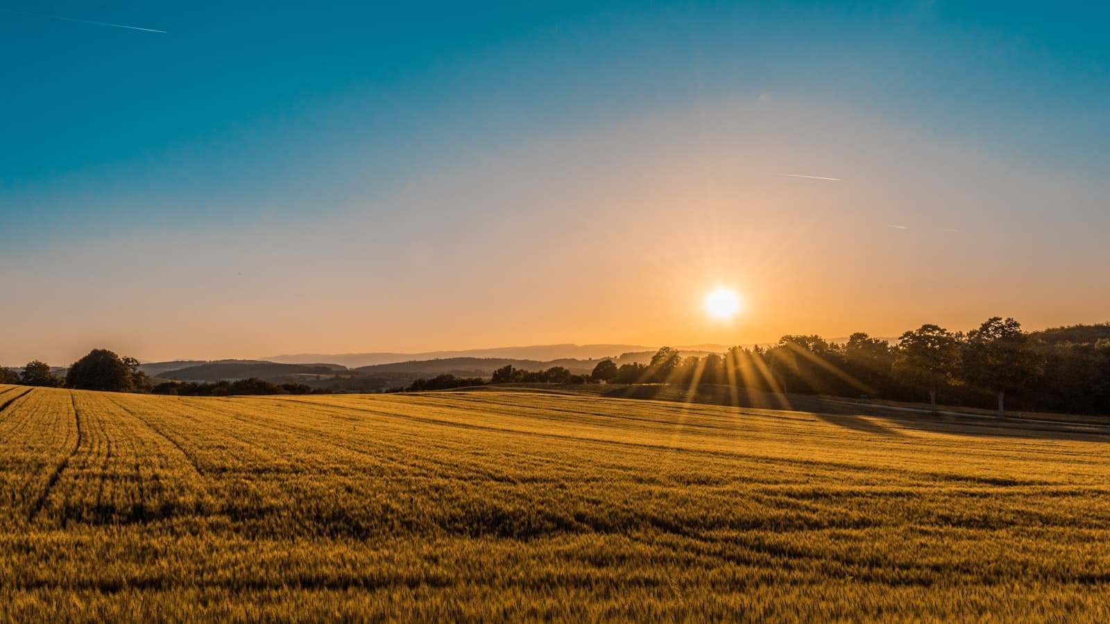 Open farmland for the therapeutic centre